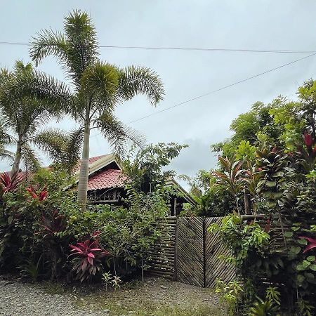 The Jungle Hut Bed & Breakfast Baler Eksteriør bilde